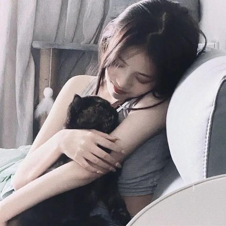 笼子在寻找小鸟海报