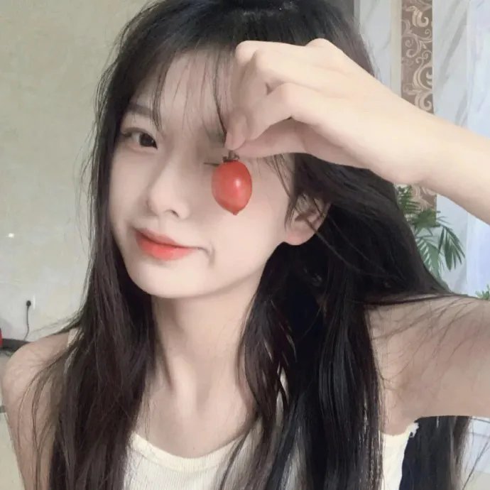 继承者计划海报