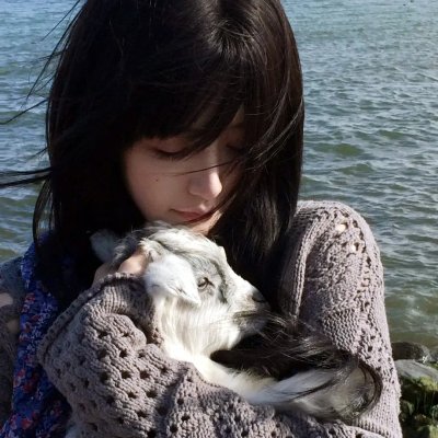 森林海报